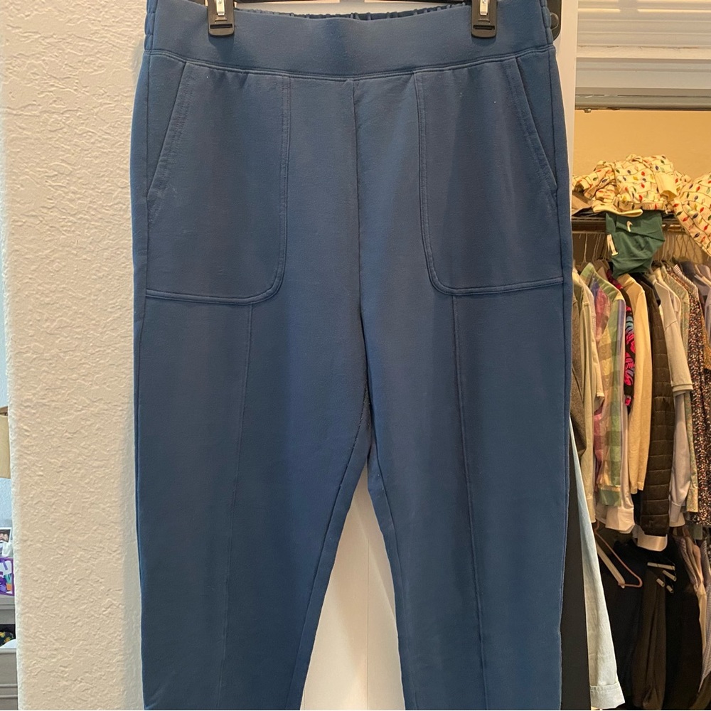 Fabletics Blue Track Pant